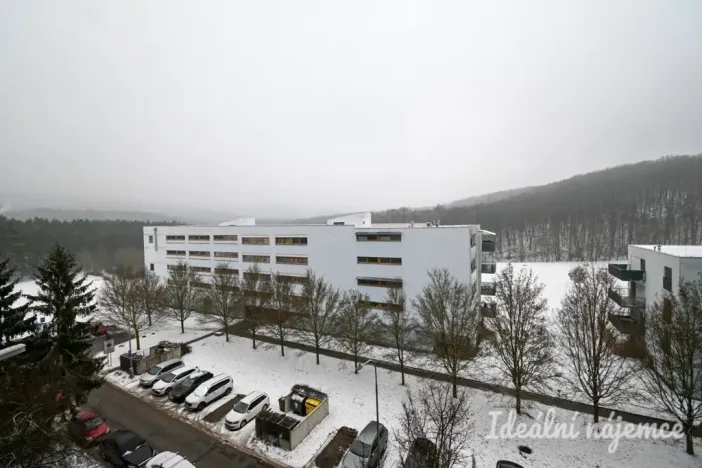 Pronájem bytu 1+1, Brno, Štouračova, 31 m2