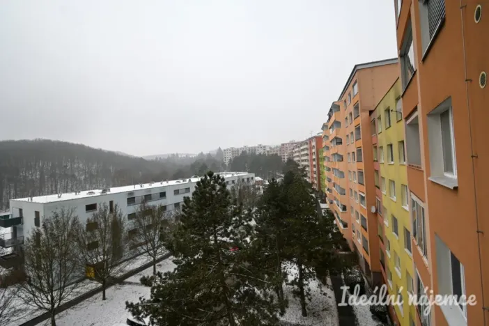 Pronájem bytu 1+1, Brno, Štouračova, 31 m2