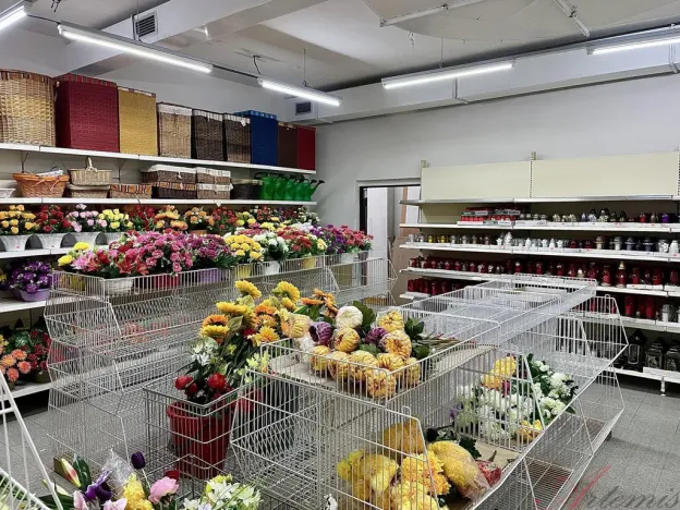 Pronájem obchodního prostoru, Havířov - Šumbark, Ladova, 1587 m2