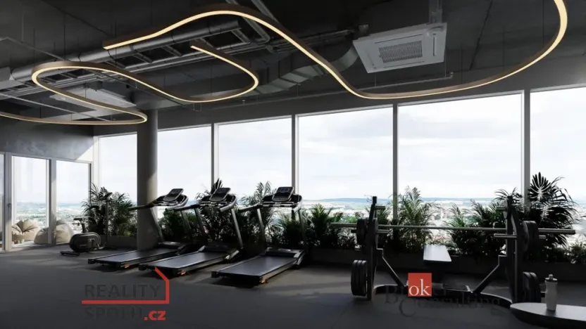 Prodej bytu 1+kk, Plzeň - Jižní Předměstí, náměstí Českých bratří, 48 m2