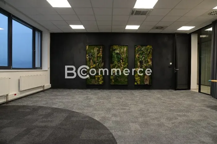 Pronájem kanceláře, Brno, Vídeňská, 935 m2