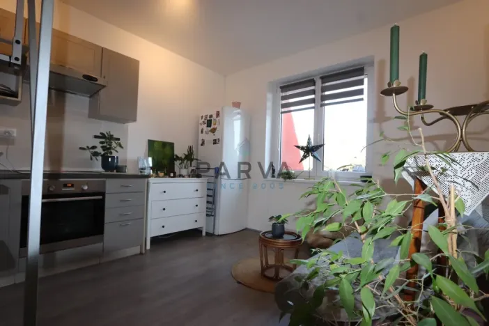 Prodej bytu 1+1, Starý Plzenec, Herejkova, 37 m2