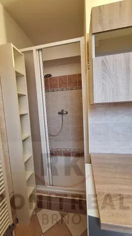 Pronájem bytu 1+1, Brno, 28 m2