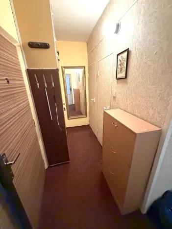 Pronájem bytu 1+1, Plzeň, Tachovská, 39 m2