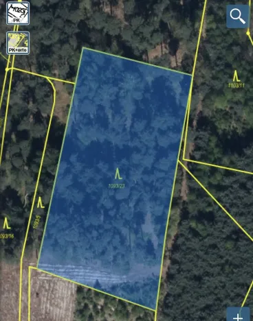 Prodej lesa, Veliny, 4517 m2