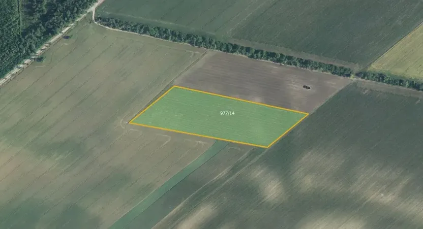 Prodej sadu/vinice, Bulhary, 82048 m2