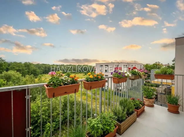 Prodej bytu 2+kk, České Budějovice - České Budějovice 2, Husova tř., 50 m2