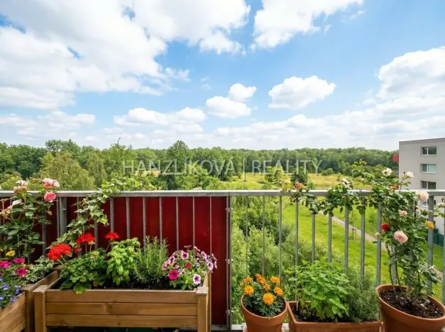 Prodej bytu 2+kk, České Budějovice - České Budějovice 2, Husova tř., 50 m2