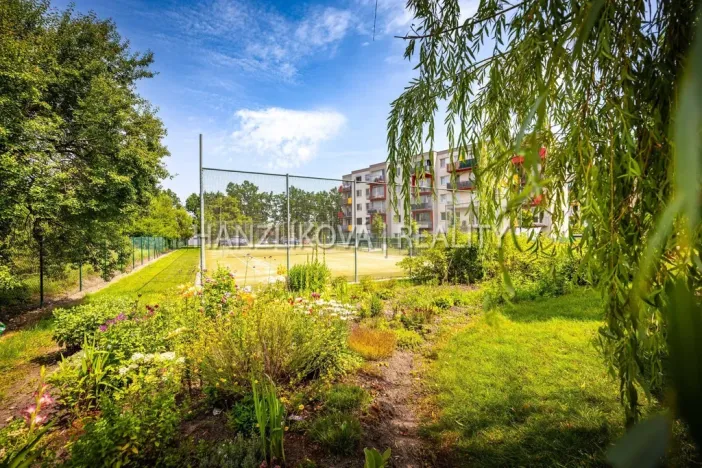 Prodej bytu 2+kk, České Budějovice - České Budějovice 2, Husova tř., 50 m2