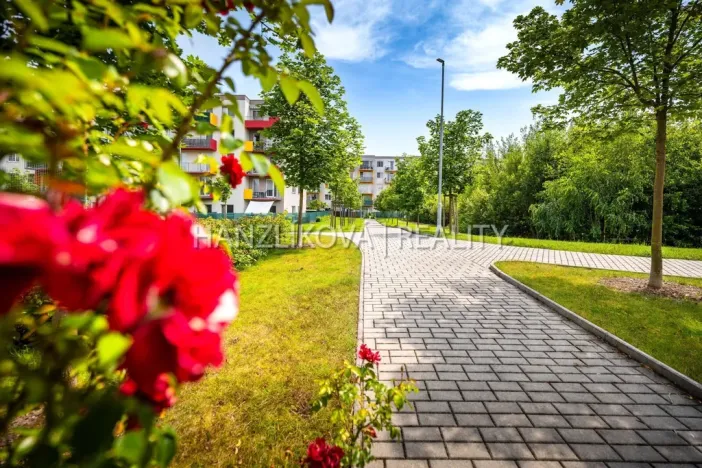 Prodej bytu 2+kk, České Budějovice - České Budějovice 2, Husova tř., 50 m2