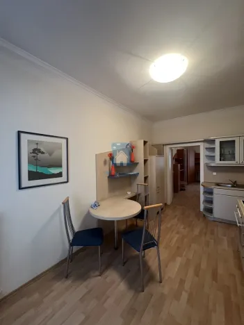 Pronájem bytu 1+1, Plzeň, Zámečnická, 45 m2