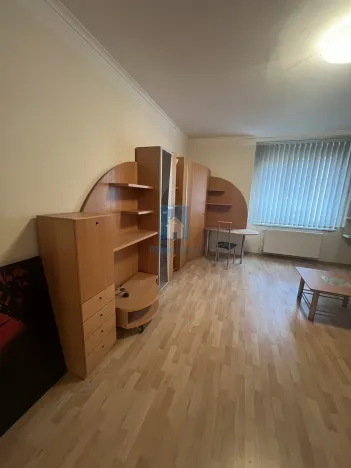 Pronájem bytu 1+1, Plzeň, Zámečnická, 45 m2