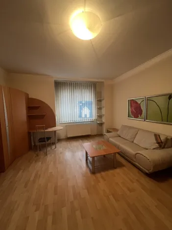 Pronájem bytu 1+1, Plzeň, Zámečnická, 45 m2