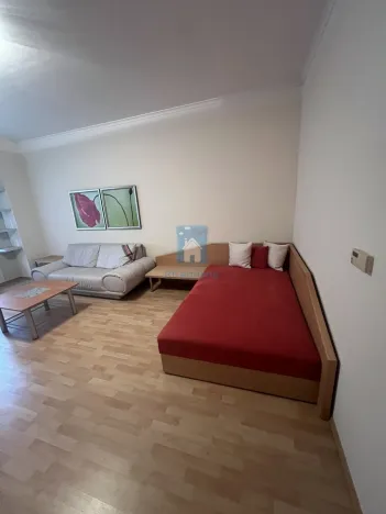 Pronájem bytu 1+1, Plzeň, Zámečnická, 45 m2