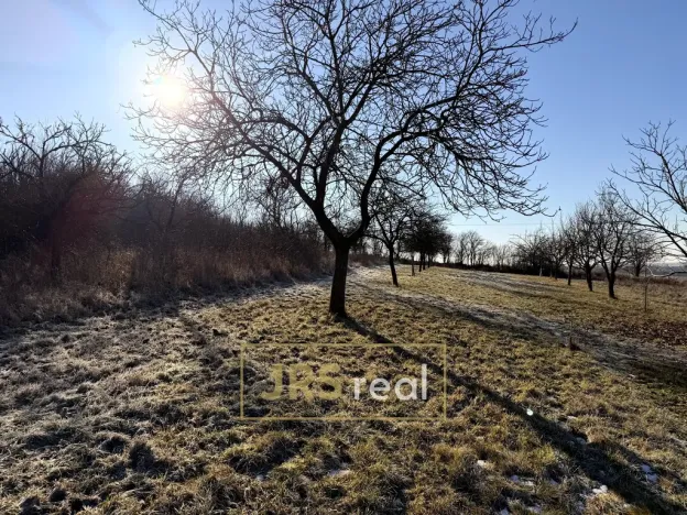 Prodej pozemku, Ostrožská Nová Ves, 982 m2