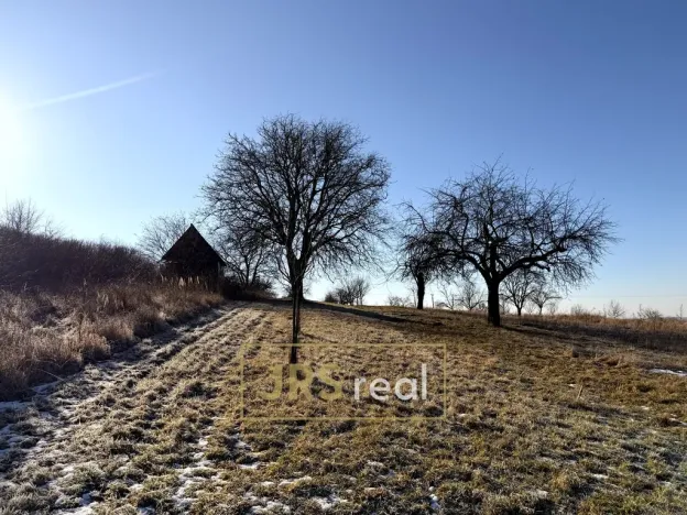 Prodej pozemku, Ostrožská Nová Ves, 982 m2