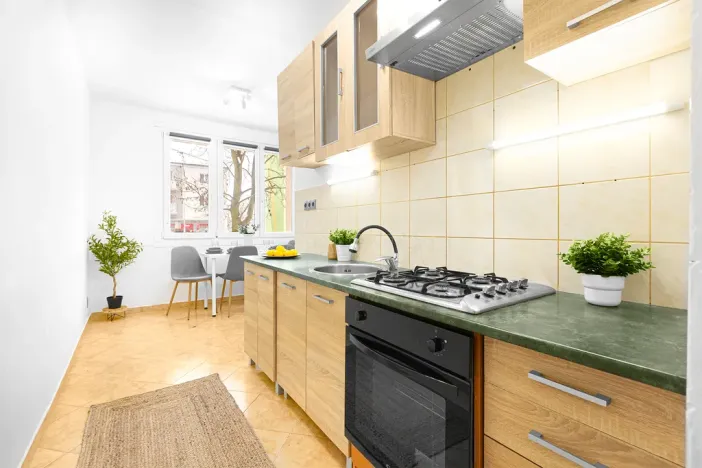 Prodej bytu 2+1, Plzeň, Tichá, 60 m2