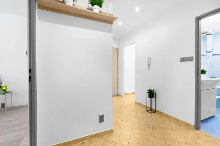 Prodej bytu 2+1, Plzeň, Tichá, 60 m2