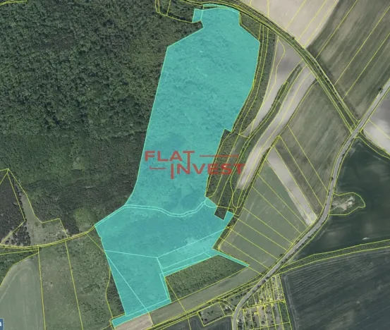 Prodej lesa, Vršovice, 162726 m2