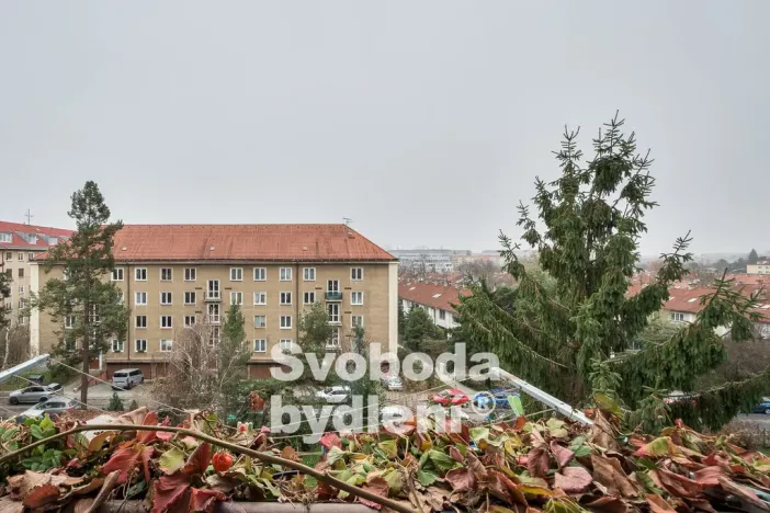 Prodej bytu 3+1, Praha - Strašnice, Černokostelecká, 95 m2