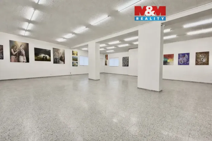 Pronájem obchodního prostoru, Louny, Říční, 216 m2