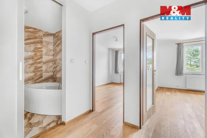 Prodej ubytování, Borušov - Svojanov, 1890 m2