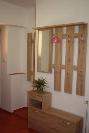 Pronájem bytu 1+1, Kozlovice, 50 m2