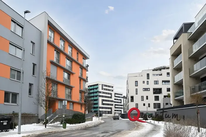 Pronájem bytu 1+kk, Praha - Žižkov, Olgy Havlové, 38 m2