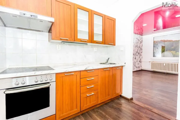 Prodej bytu 2+kk, Most, Jana Kubelíka, 37 m2