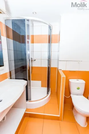 Prodej bytu 2+kk, Most, Jana Kubelíka, 37 m2