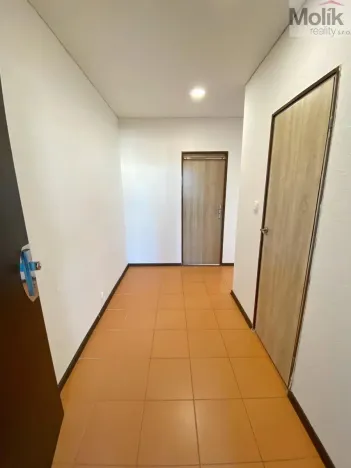 Prodej bytu 2+kk, Most, Jana Kubelíka, 40 m2