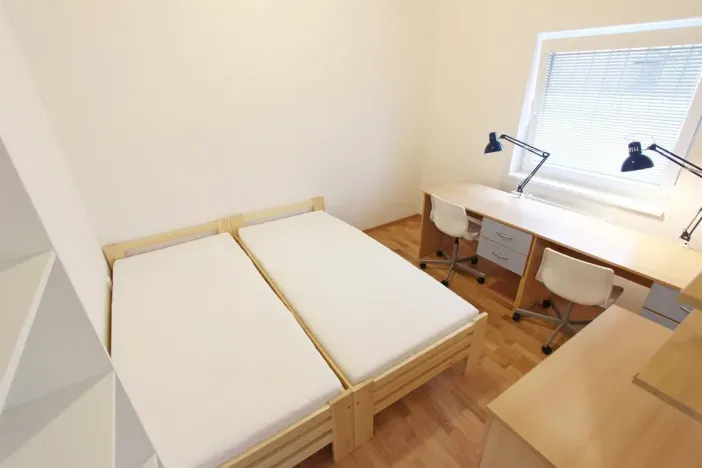 Pronájem bytu 1+kk, Brno - Zábrdovice, Cejl, 10 m2