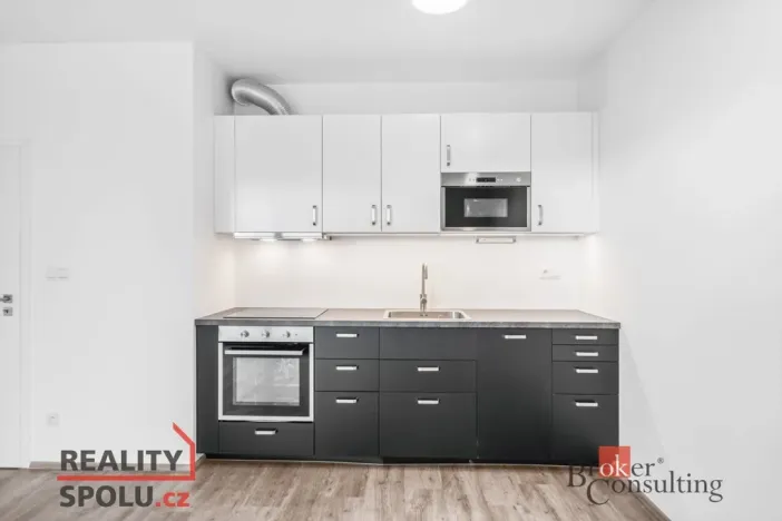 Pronájem bytu 1+kk, Plzeň - Jižní Předměstí, Železná, 43 m2