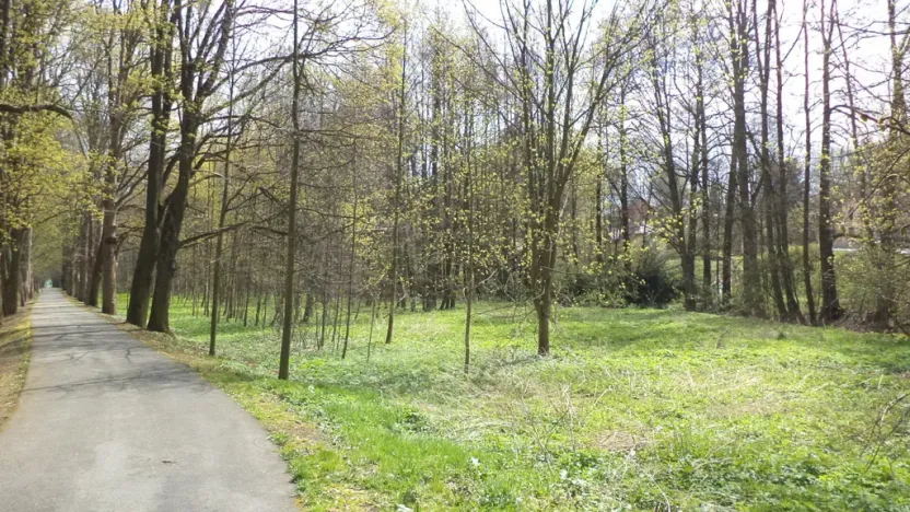 Prodej pole, Tachov, 55666 m2