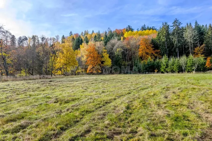 Prodej pozemku pro bydlení, Konstantinovy Lázně, 1196 m2