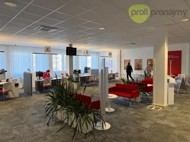 Pronájem obchodního prostoru, Šumperk, Gen. Svobody, 260 m2