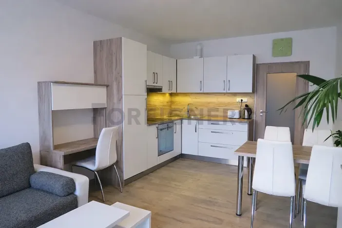 Pronájem bytu 1+kk, Brno, Vídeňská, 32 m2