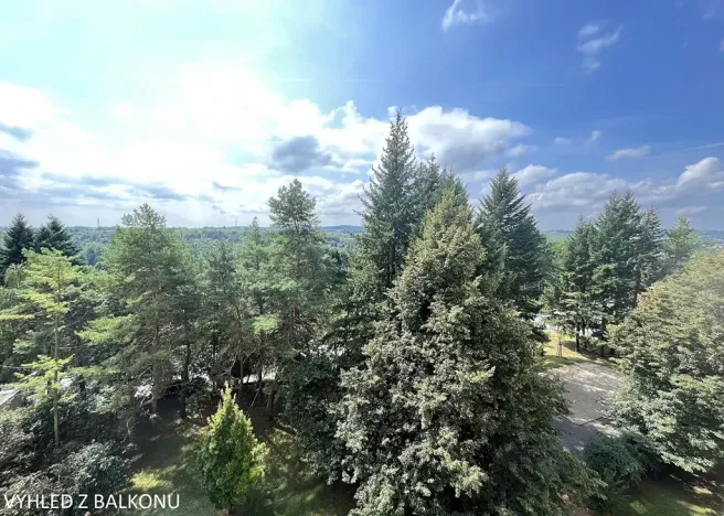 Pronájem pokoje, Brno, Arménská, 18 m2