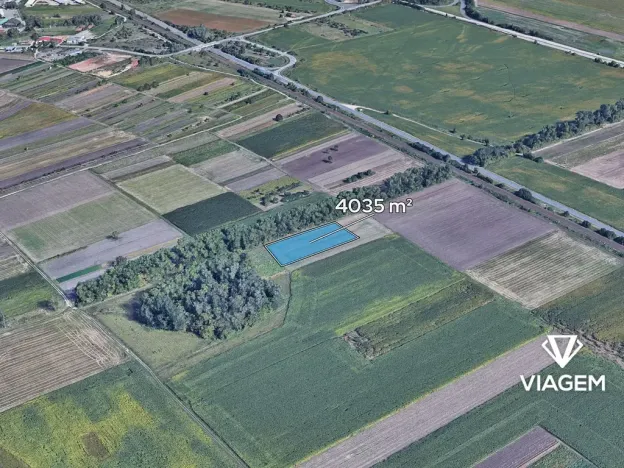 Prodej pole, Podivín, 4035 m2