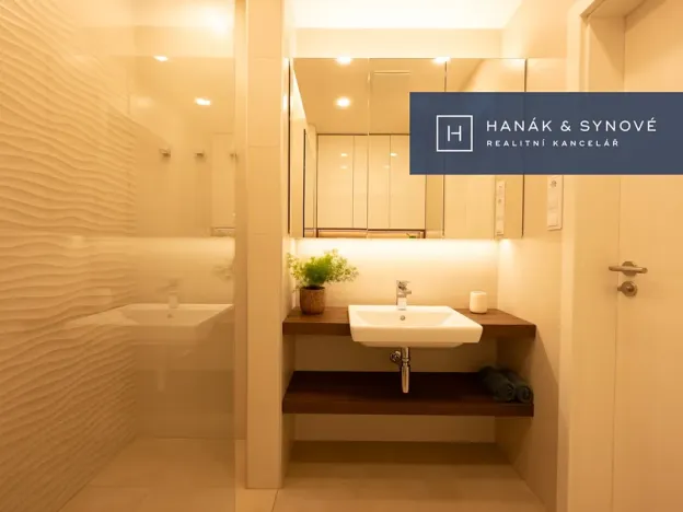 Pronájem bytu 1+kk, Brno, Koliště, 22 m2