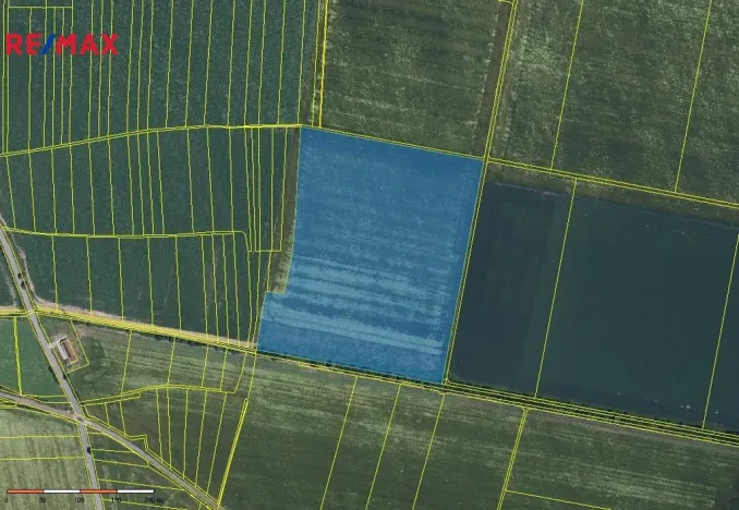 Prodej podílu 2/3 pole, Těšetice, 172887 m2