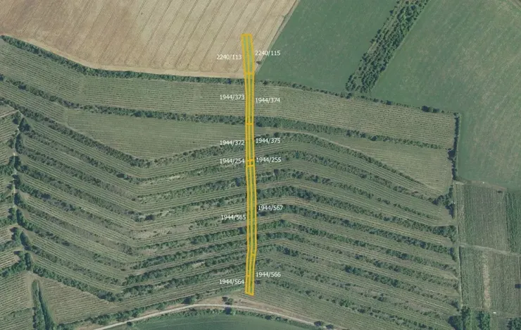 Prodej pole, Morkůvky, 4640 m2