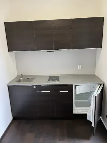 Pronájem bytu 2+1, Brno, Hlinky, 44 m2