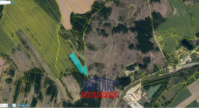 Prodej lesa, Žirovnice, 11124 m2