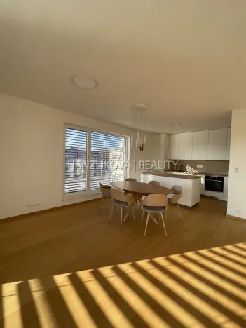 Pronájem bytu 4+kk, České Budějovice - České Budějovice 2, Branišovská, 103 m2