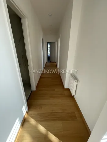 Pronájem bytu 4+kk, České Budějovice - České Budějovice 2, Branišovská, 103 m2