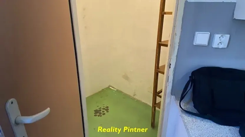 Pronájem bytu 2+1, Příbram, třída Osvobození, 58 m2