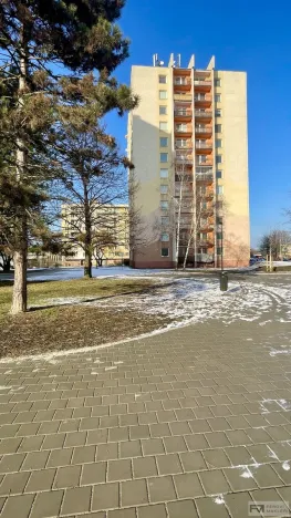 Pronájem bytu 1+1, Ostrava, Lechowiczova, 45 m2