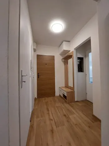 Pronájem bytu 1+1, Brno, Okrouhlá, 45 m2