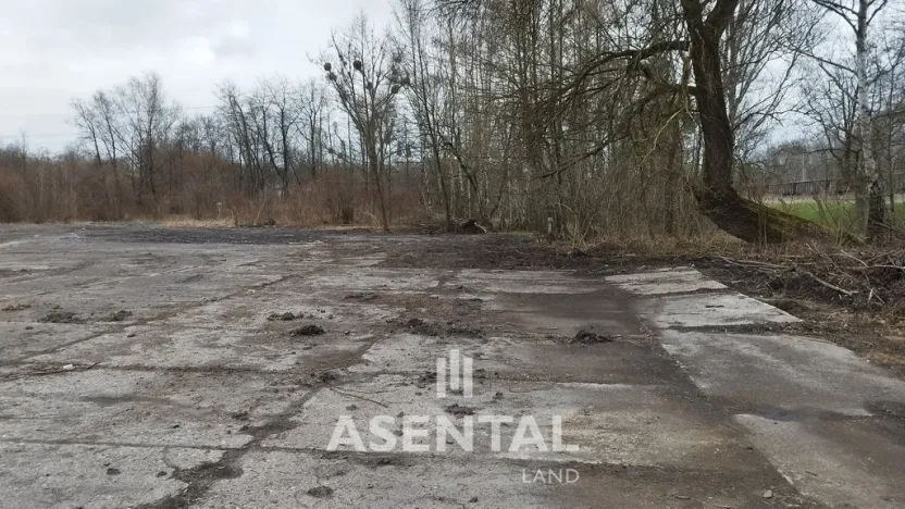 Prodej komerčního pozemku, Orlová - Poruba, Nádražní, 22913 m2